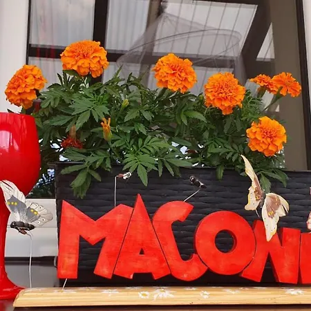Dom Pracy Tworczej Macondo Апартаменты