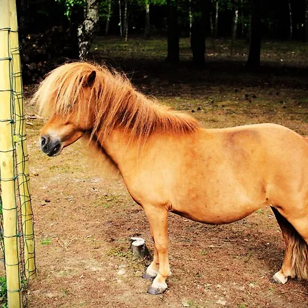 Dom Pracy Tworczej Macondo Miedzno