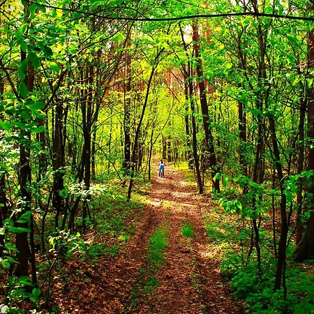 Apartman Dom Pracy Tworczej Macondo Miedzno