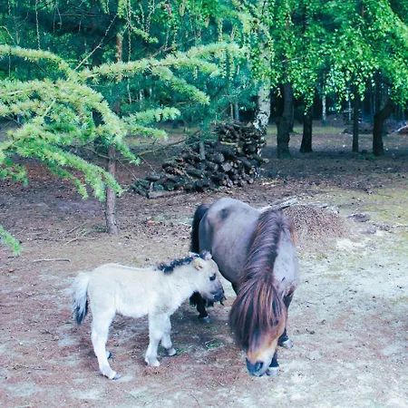 Dom Pracy Tworczej Macondo * Miedzno