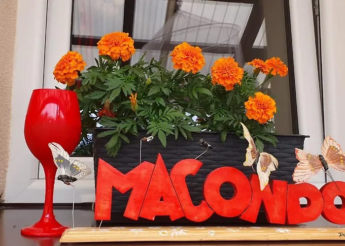 Dom Pracy Tworczej Macondo 아파트