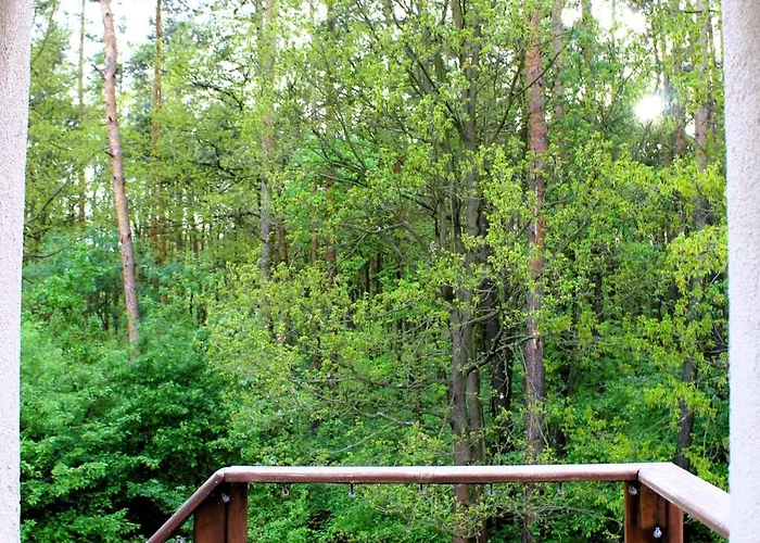 아파트 Dom Pracy Tworczej Macondo *