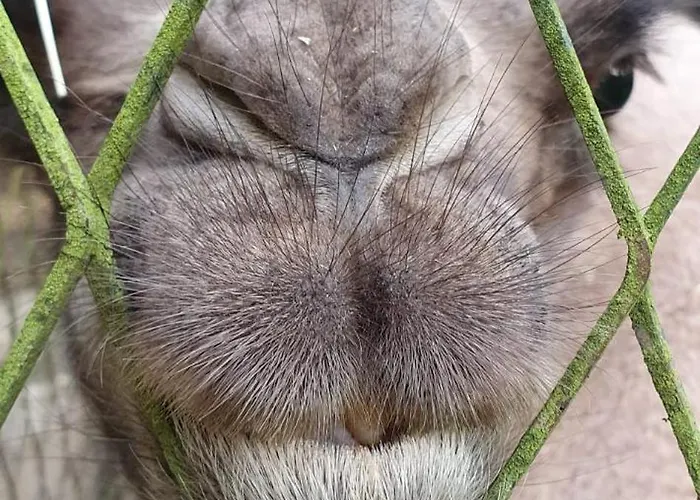 Dom Pracy Tworczej Macondo *