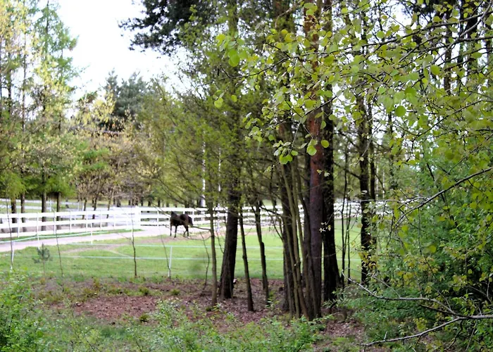 דירה Dom Pracy Tworczej Macondo