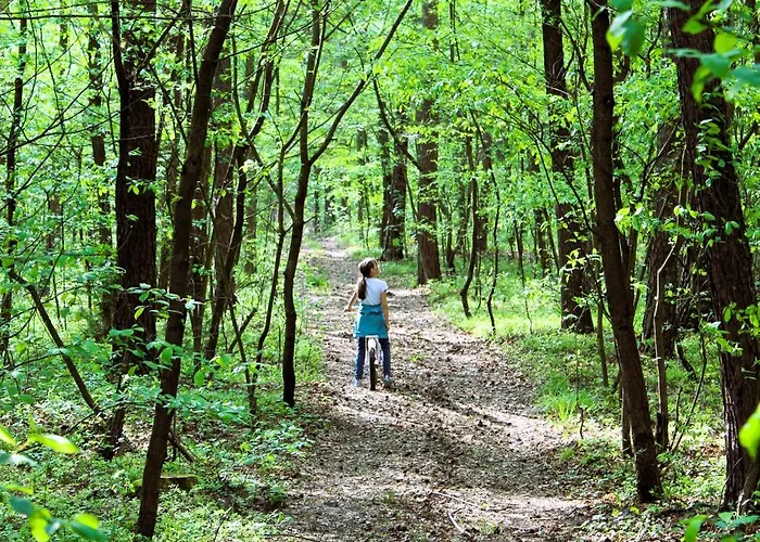 Dom Pracy Tworczej Macondo דירה