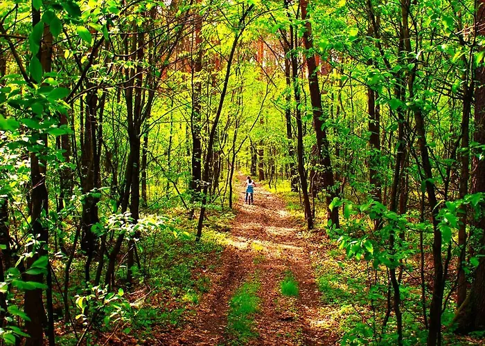 דירה Dom Pracy Tworczej Macondo Miedzno