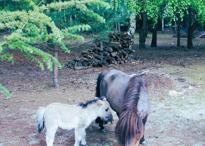 Dom Pracy Tworczej Macondo * Miedzno